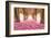 Pink Cherry Blossom Tunnel-null-Framed Art Print