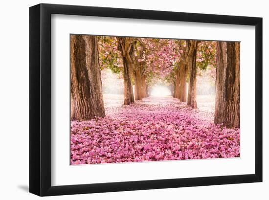 Pink Cherry Blossom Tunnel-null-Framed Art Print