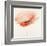 Pink Chiffon I-J^P^ Prior-Framed Giclee Print