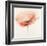 Pink Chiffon I-J^P^ Prior-Framed Giclee Print