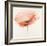 Pink Chiffon I-J^P^ Prior-Framed Giclee Print