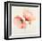 Pink Chiffon II-J^P^ Prior-Framed Giclee Print