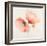 Pink Chiffon II-J^P^ Prior-Framed Giclee Print