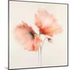 Pink Chiffon II-J^P^ Prior-Mounted Giclee Print