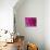 Pink Chrysanthemum-null-Photographic Print displayed on a wall