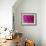 Pink Chrysanthemum-null-Framed Photographic Print displayed on a wall