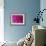 Pink Chrysanthemum-null-Framed Photographic Print displayed on a wall