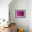 Pink Chrysanthemum-null-Framed Photographic Print displayed on a wall