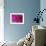 Pink Chrysanthemum-null-Framed Photographic Print displayed on a wall