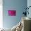 Pink Chrysanthemum-null-Mounted Photographic Print displayed on a wall