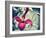 Pink Clematis-Savanah Plank-Framed Photo