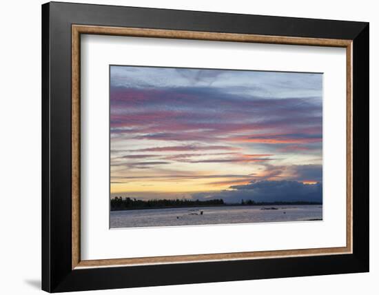 Pink clouds over the Wairau River estuary at dusk, Wairau Bar, near Blenheim, Marlborough, South Is-Ruth Tomlinson-Framed Photographic Print