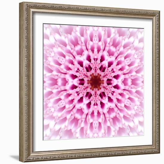 Pink Concentric Flower Center: Mandala Kaleidoscopic Design-tr3gi-Framed Art Print