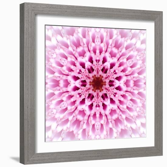 Pink Concentric Flower Center: Mandala Kaleidoscopic Design-tr3gi-Framed Art Print