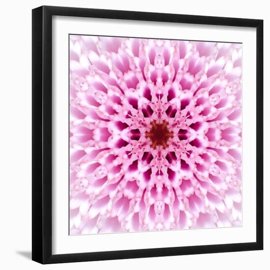 Pink Concentric Flower Center: Mandala Kaleidoscopic Design-tr3gi-Framed Art Print