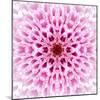 Pink Concentric Flower Center: Mandala Kaleidoscopic Design-tr3gi-Mounted Art Print