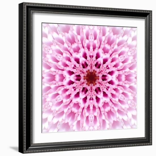 Pink Concentric Flower Center: Mandala Kaleidoscopic Design-tr3gi-Framed Art Print