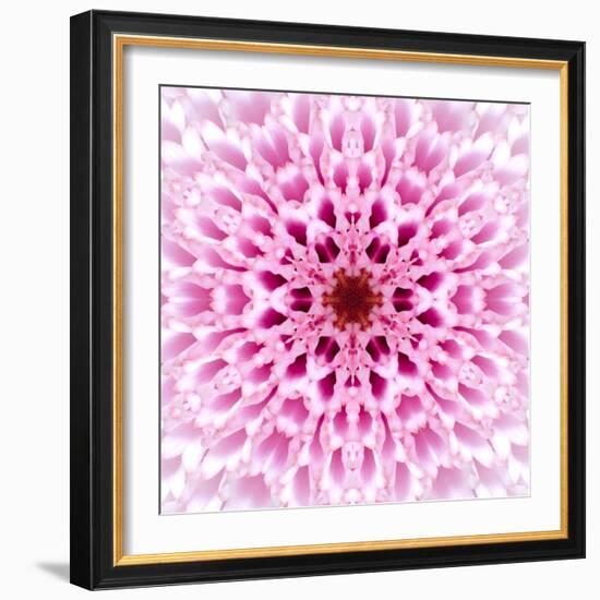 Pink Concentric Flower Center: Mandala Kaleidoscopic Design-tr3gi-Framed Art Print