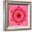 Pink Concentric Flower Center: Mandala Kaleidoscopic Design-tr3gi-Framed Art Print