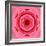 Pink Concentric Flower Center: Mandala Kaleidoscopic Design-tr3gi-Framed Art Print