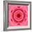 Pink Concentric Flower Center: Mandala Kaleidoscopic Design-tr3gi-Framed Art Print