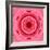 Pink Concentric Flower Center: Mandala Kaleidoscopic Design-tr3gi-Framed Art Print