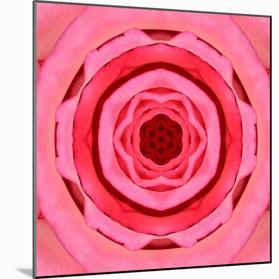 Pink Concentric Flower Center: Mandala Kaleidoscopic Design-tr3gi-Mounted Art Print