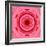 Pink Concentric Flower Center: Mandala Kaleidoscopic Design-tr3gi-Framed Art Print