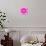 Pink Concentric Flower Center: Mandala Kaleidoscopic-tr3gi-Art Print displayed on a wall