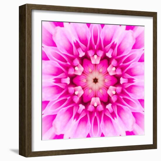 Pink Concentric Flower Center: Mandala Kaleidoscopic-tr3gi-Framed Art Print