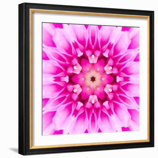 Pink Concentric Flower Center: Mandala Kaleidoscopic-tr3gi-Framed Art Print