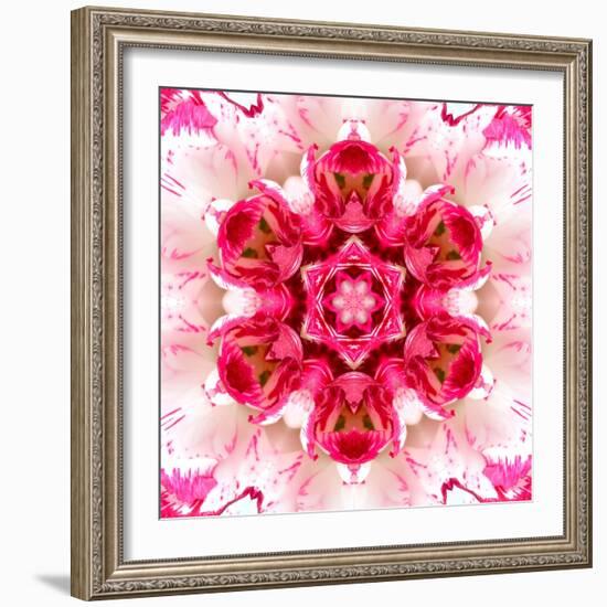 Pink Concentric Flower Center: Mandala Kaleidoscopic-tr3gi-Framed Art Print