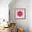 Pink Concentric Flower Center: Mandala Kaleidoscopic-tr3gi-Framed Art Print displayed on a wall