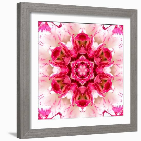 Pink Concentric Flower Center: Mandala Kaleidoscopic-tr3gi-Framed Art Print