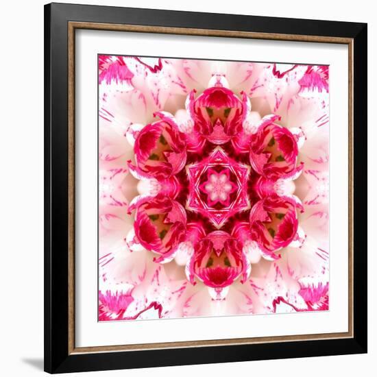 Pink Concentric Flower Center: Mandala Kaleidoscopic-tr3gi-Framed Art Print