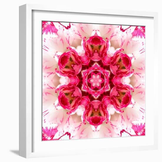 Pink Concentric Flower Center: Mandala Kaleidoscopic-tr3gi-Framed Art Print