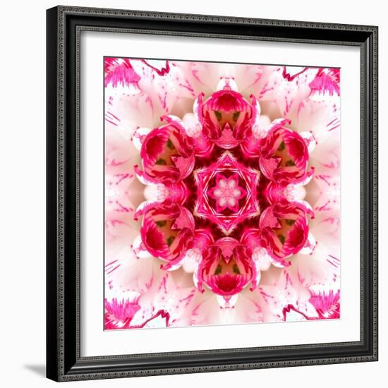 Pink Concentric Flower Center: Mandala Kaleidoscopic-tr3gi-Framed Art Print