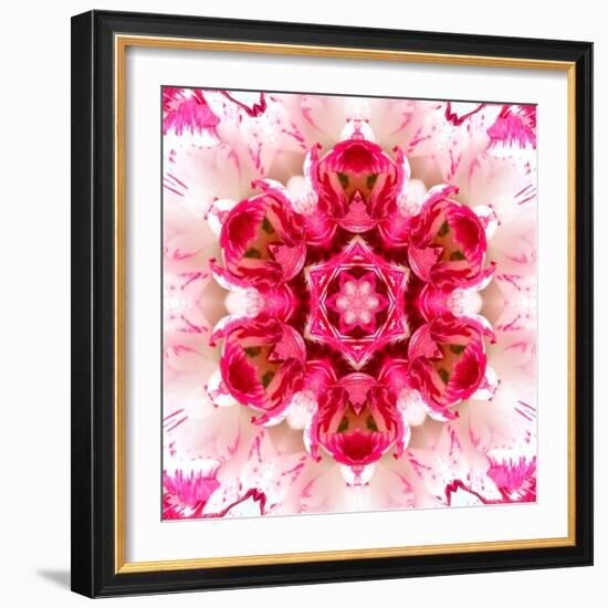 Pink Concentric Flower Center: Mandala Kaleidoscopic-tr3gi-Framed Art Print