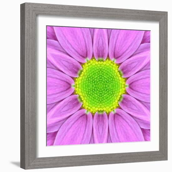 Pink Concentric Flower Center: Mandala Kaleidoscopic-tr3gi-Framed Art Print