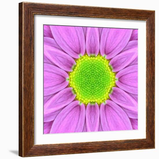 Pink Concentric Flower Center: Mandala Kaleidoscopic-tr3gi-Framed Art Print