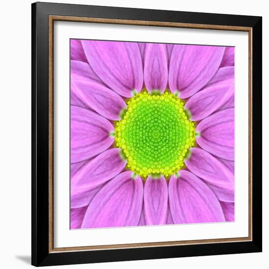 Pink Concentric Flower Center: Mandala Kaleidoscopic-tr3gi-Framed Art Print