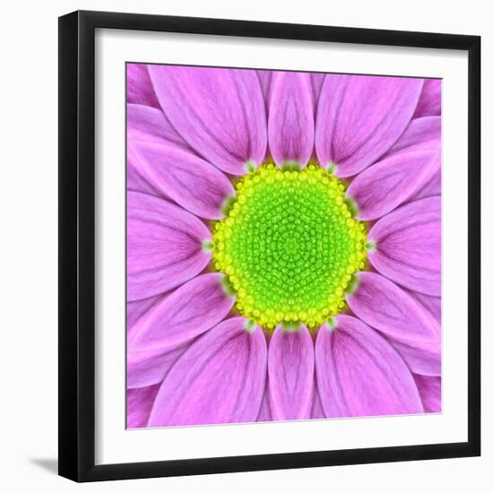 Pink Concentric Flower Center: Mandala Kaleidoscopic-tr3gi-Framed Art Print