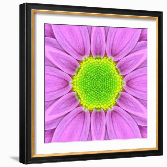 Pink Concentric Flower Center: Mandala Kaleidoscopic-tr3gi-Framed Art Print