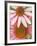 Pink Cone Flowers Close-Up-Richard Hamilton Smith-Framed Photographic Print