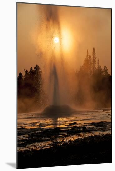 Pink Cone Geyser, Firehole Lake Drive, Yellowstone National Park, Wy-Rebecca Gaal-Mounted Photographic Print