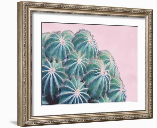 Pink Crush II-Elizabeth Urquhart-Framed Art Print