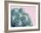 Pink Crush II-Elizabeth Urquhart-Framed Art Print