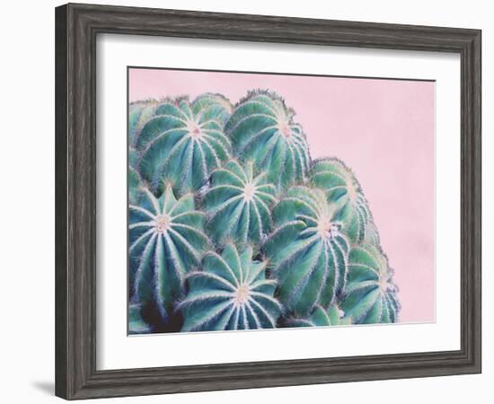 Pink Crush II-Elizabeth Urquhart-Framed Art Print