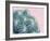 Pink Crush II-Elizabeth Urquhart-Framed Art Print