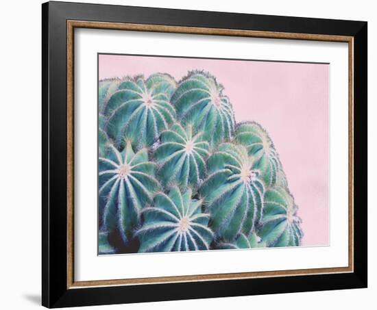 Pink Crush II-Elizabeth Urquhart-Framed Art Print